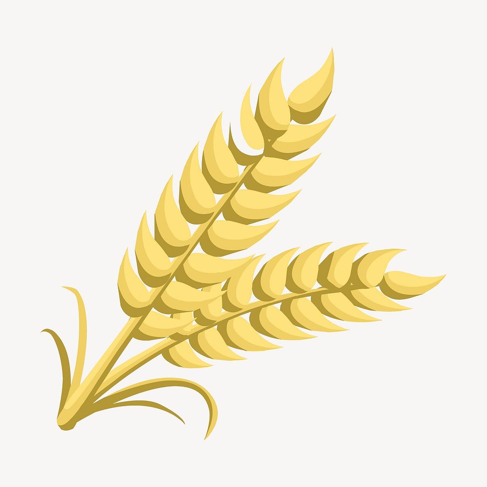 Wheat illustration. Free public domain CC0 image.