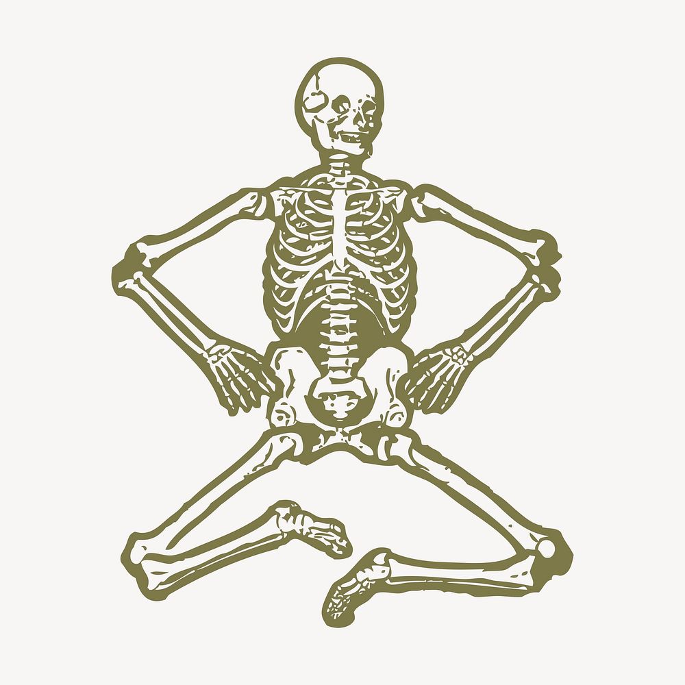 Human skeleton clipart, medical illustration psd