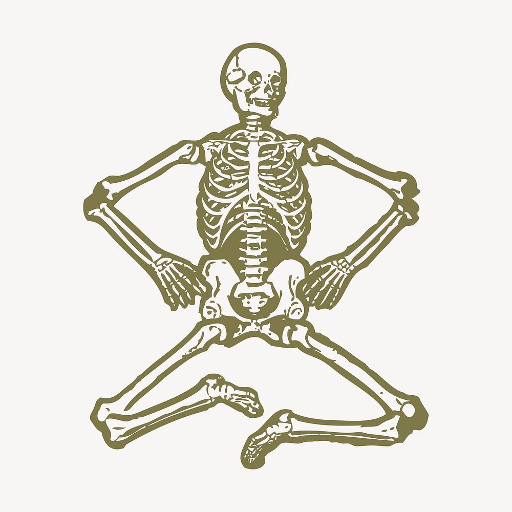 Human skeleton collage element, medical illustration vector