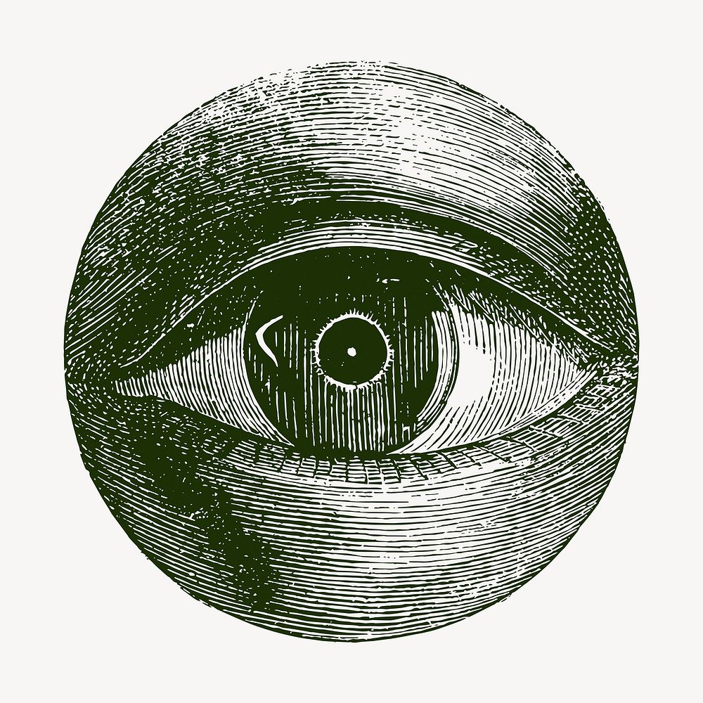 Human eye, body part, vintage illustration