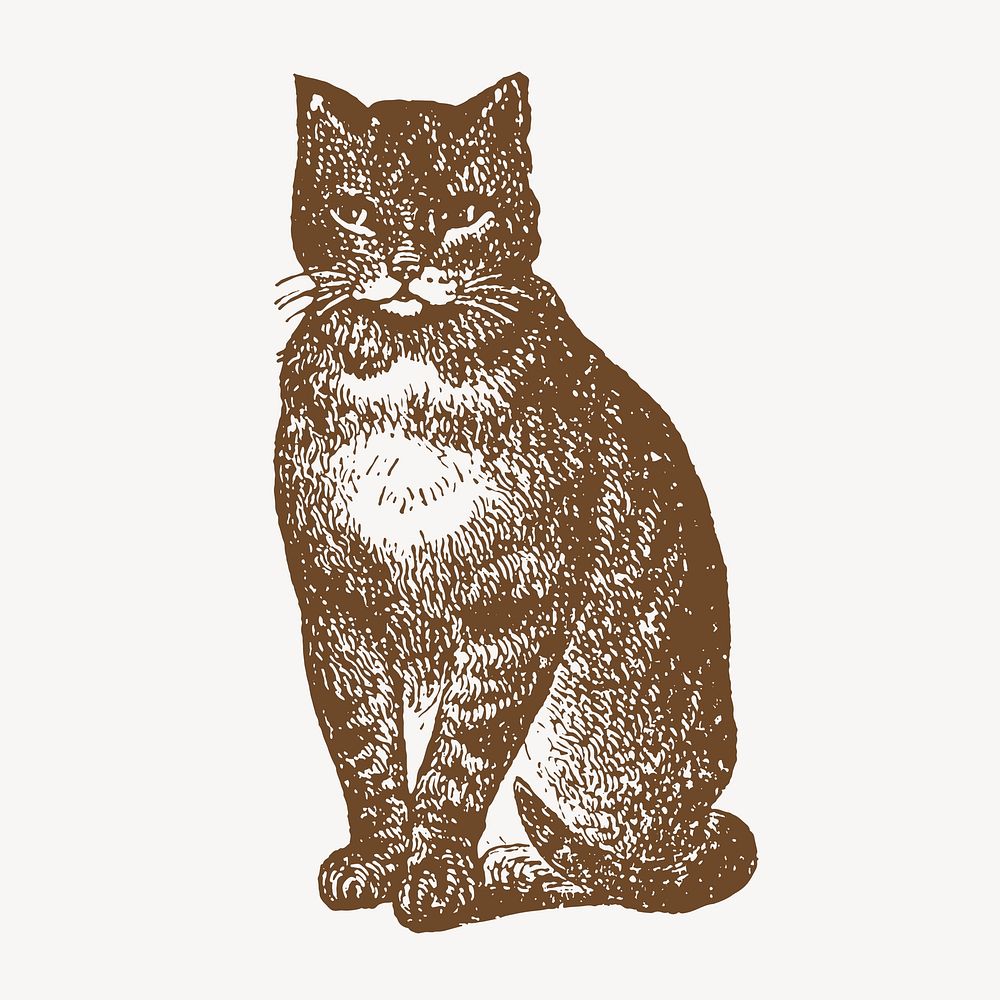 Vintage cat clipart, animal illustration psd