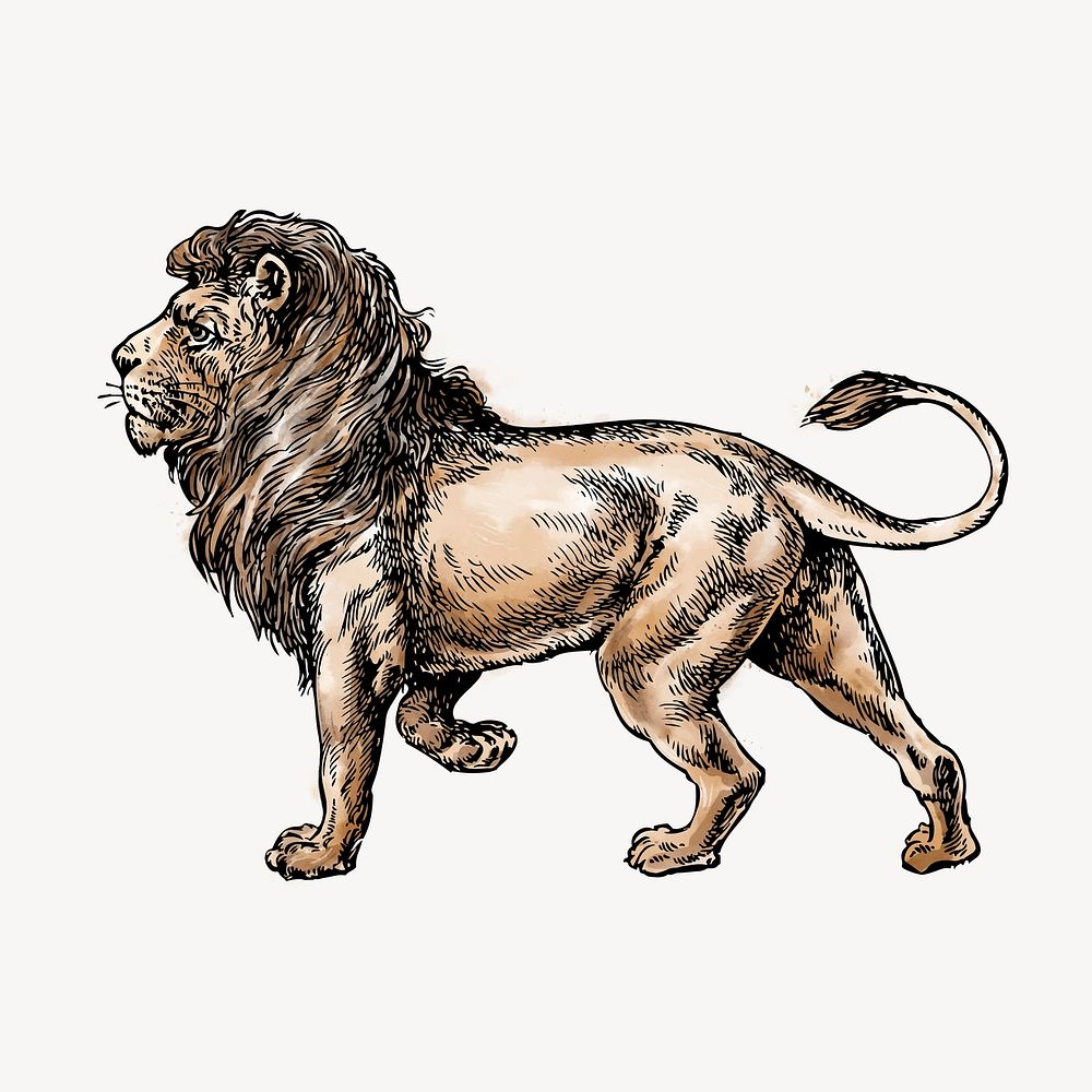 Lion watercolor sticker, animal vintage illustration vector