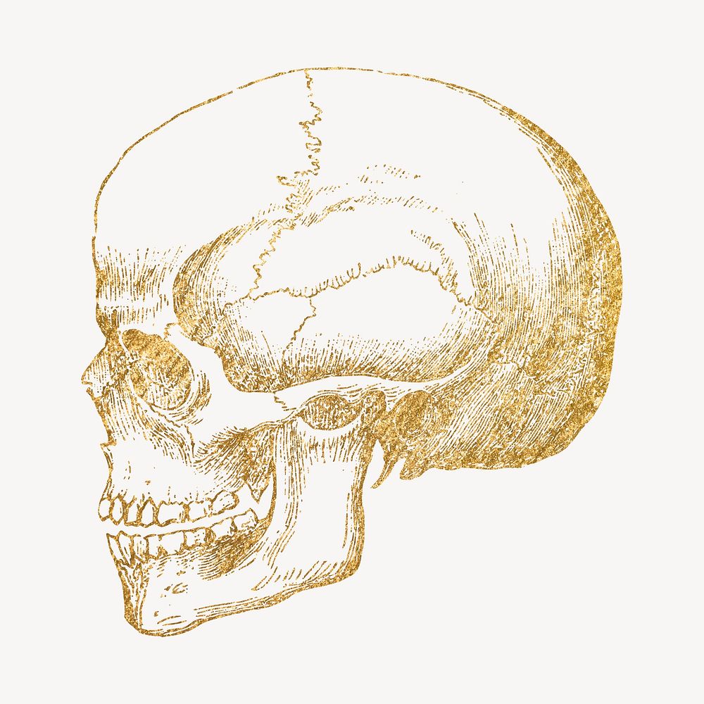 Skull gold sticker, aesthetic medical illustration vector