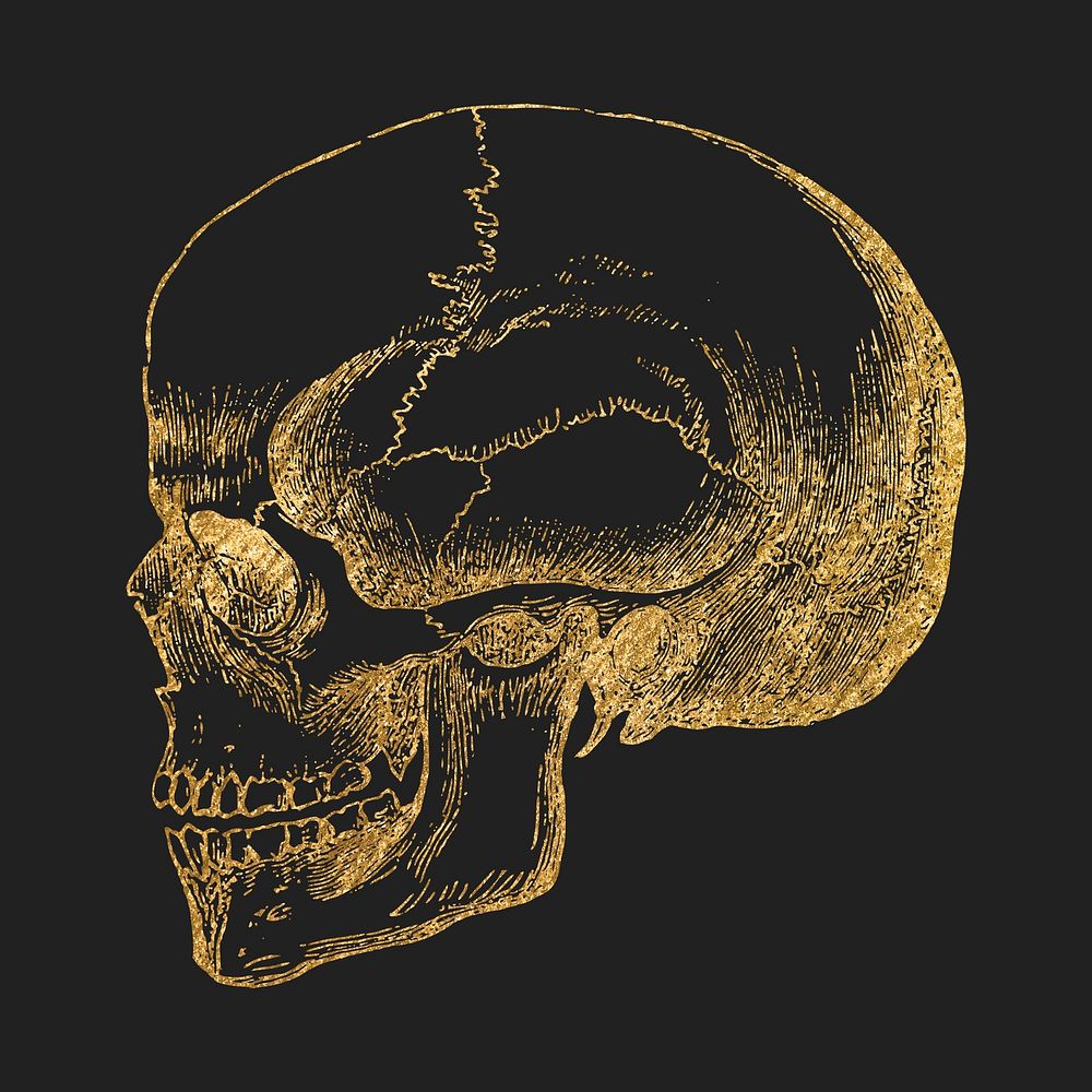 Golden skull clipart, goth vintage illustration