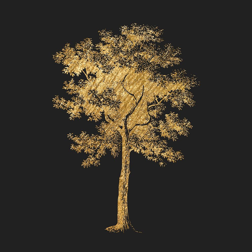 Golden tree clipart, nature vintage illustration