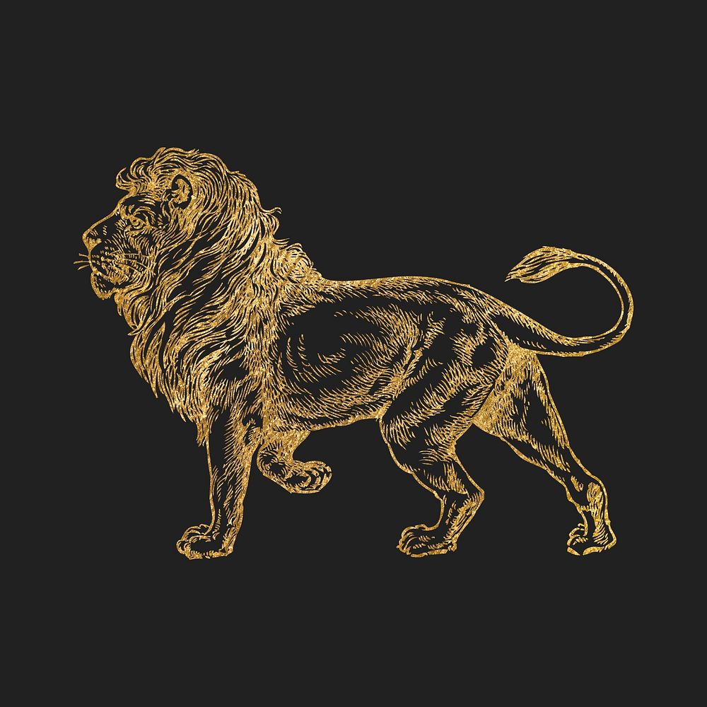 Lion gold sticker, aesthetic wildlife illustration vector