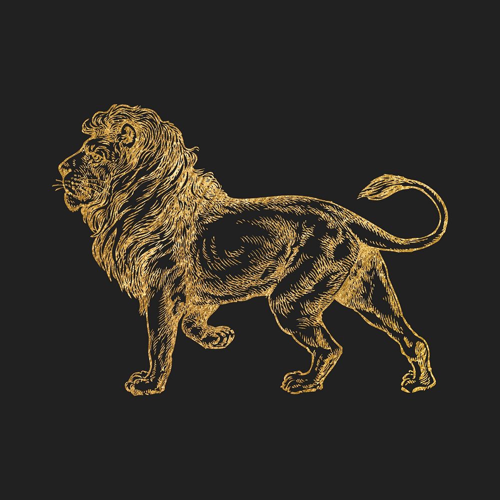 Lion gold sticker, aesthetic wildlife | Free Vector Illustration - rawpixel