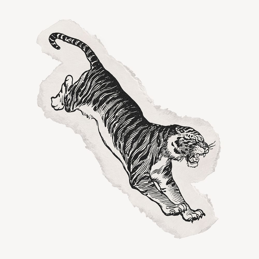 Jumping tiger drawing, ephemera torn paper, vintage illustration