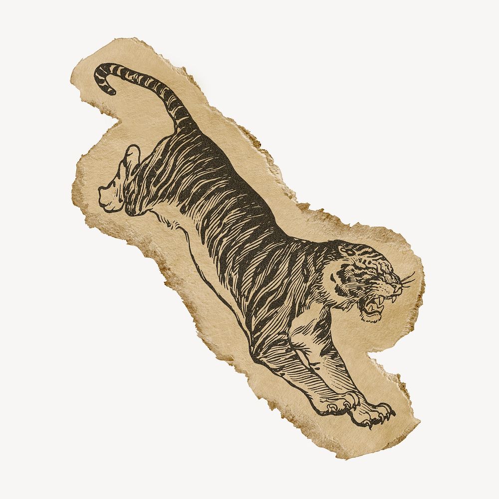 Jumping tiger drawing ephemera, ripped paper, animal collage element psd