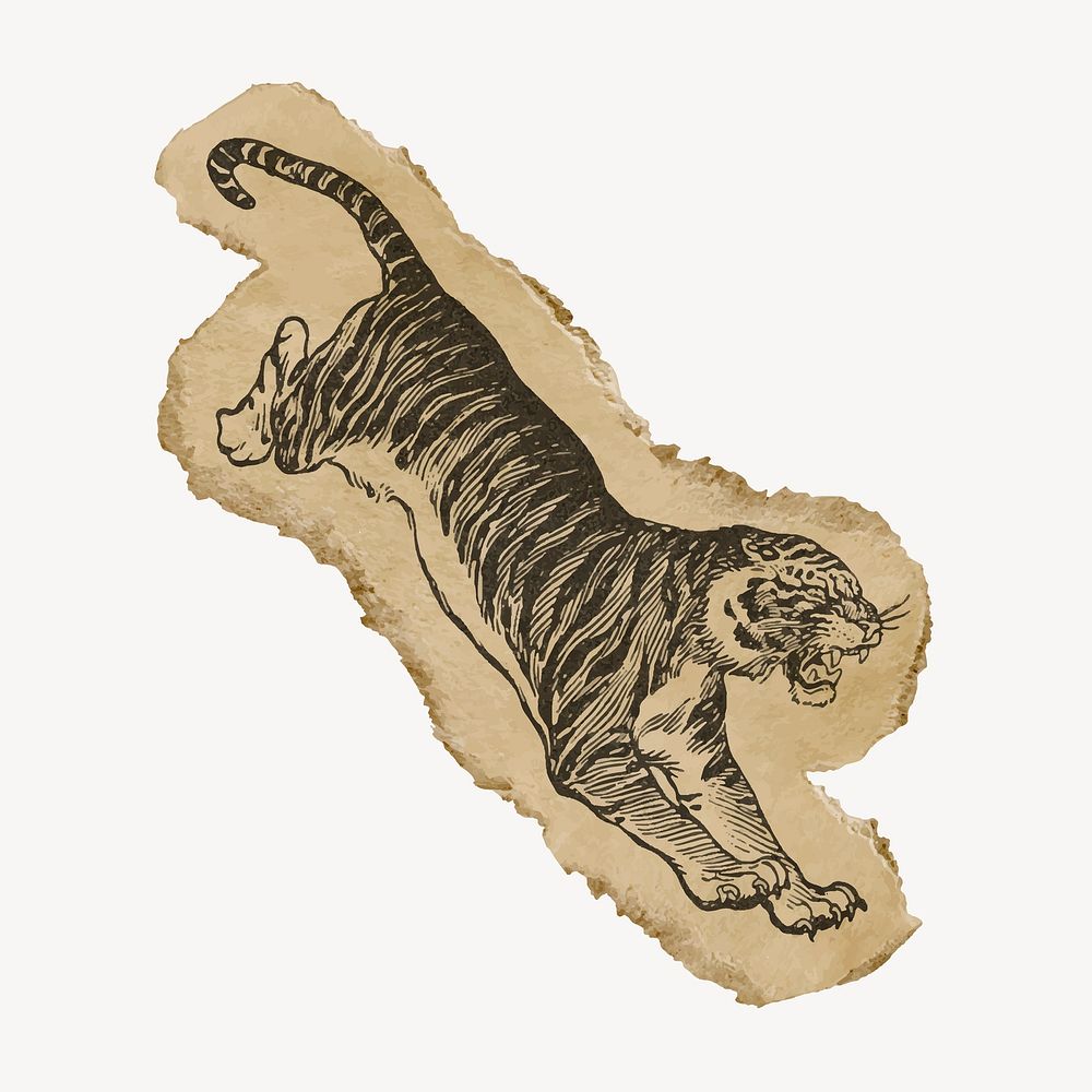 Jumping tiger ephemera ripped paper clipart, vintage illustration vector