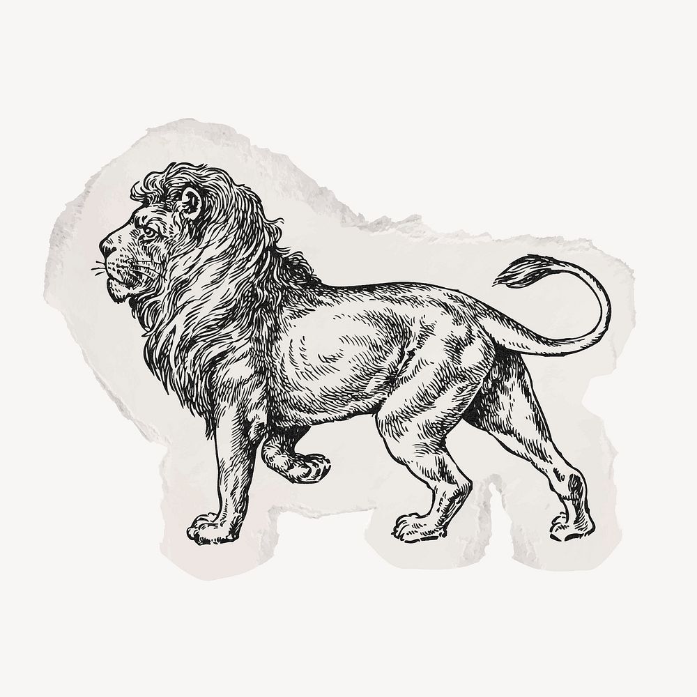 Lion, ephemera ripped paper clipart, vintage illustration vector