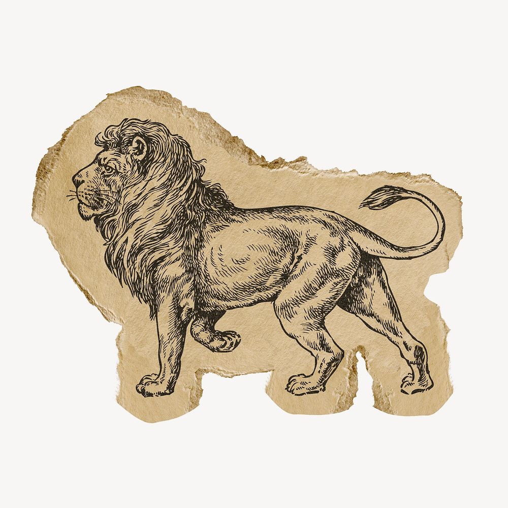 Lion drawing, ripped paper, animal ephemera collage element psd