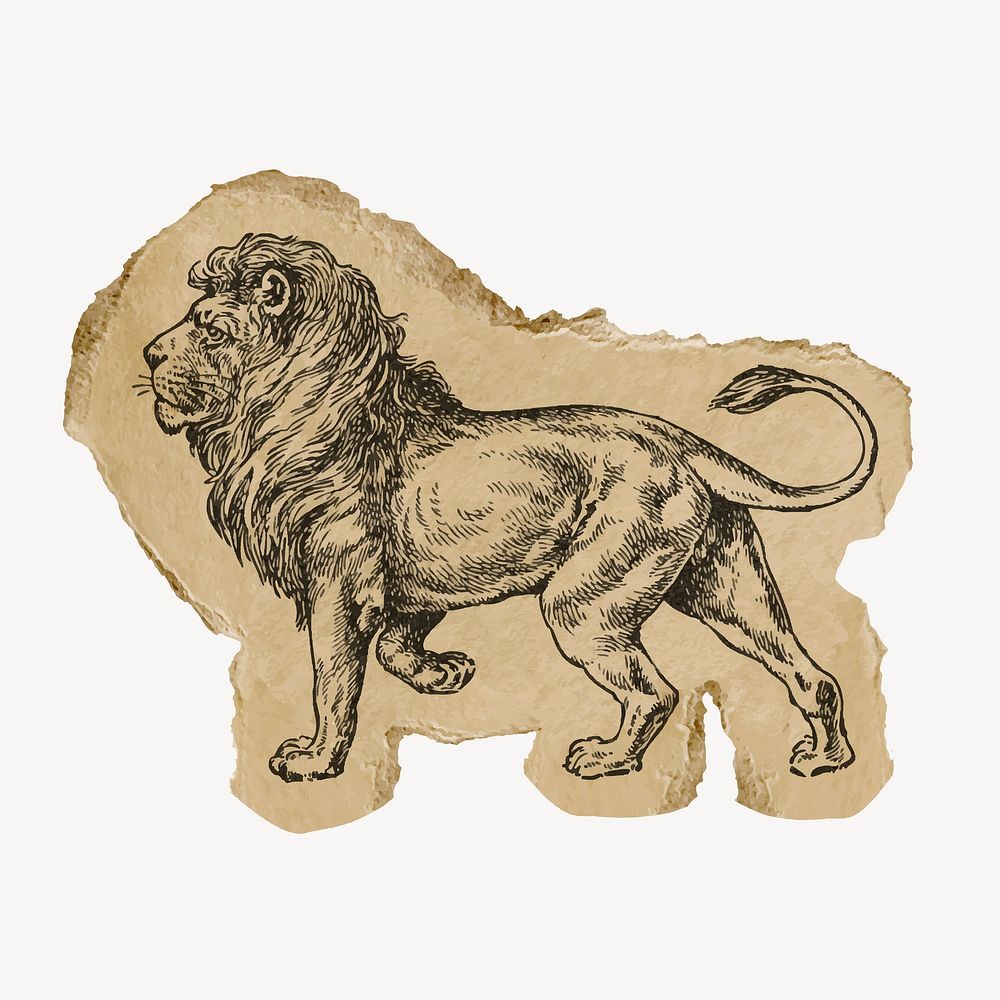 Lion, ephemera ripped paper clipart, vintage illustration vector