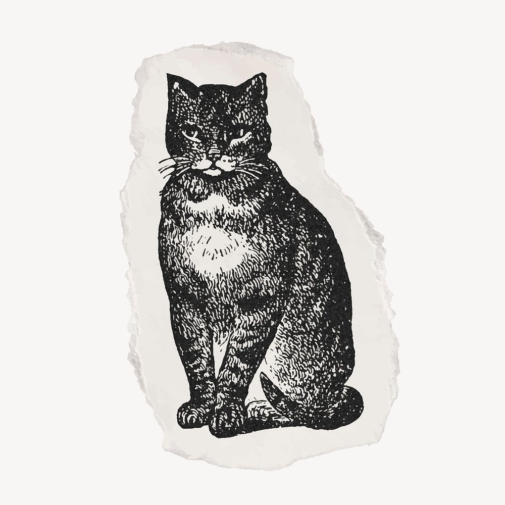 Cat, animal ripped paper clipart, vintage illustration vector.