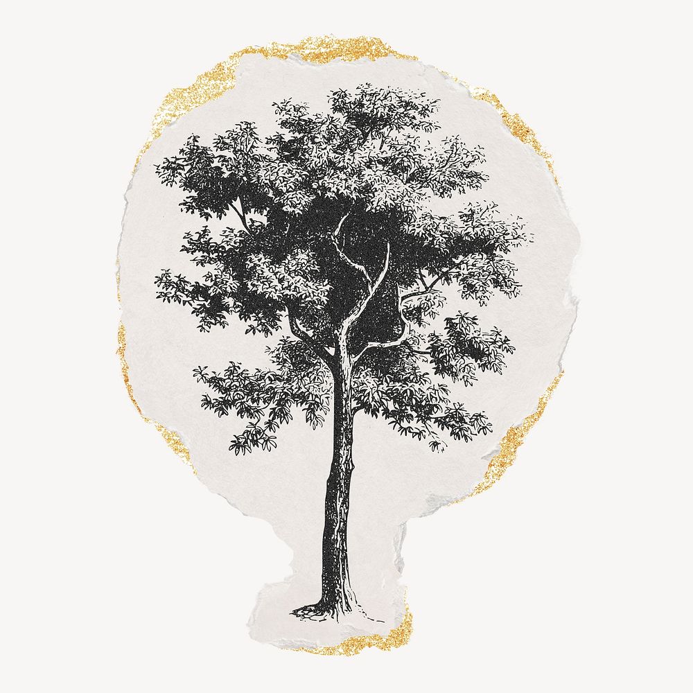 Tree drawing, ephemera torn paper, gold shimmer, vintage illustration