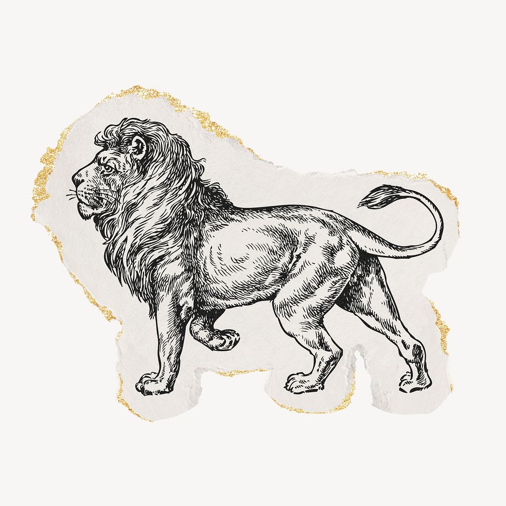 Lion drawing, ephemera ripped paper, gold shimmer collage element psd