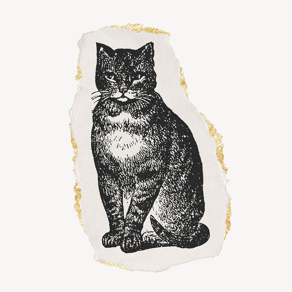 Cat drawing, torn paper, gold shimmer, vintage illustration.