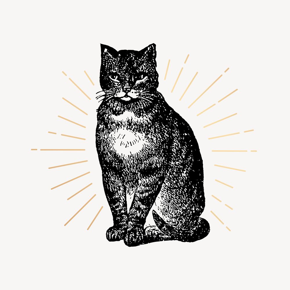 Cat clipart, vintage pet drawing vector