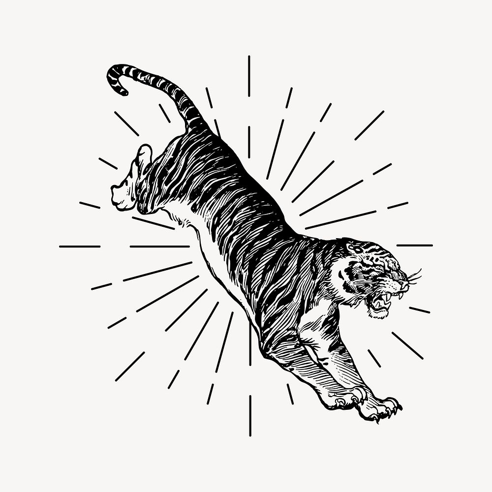 Jumping tiger clipart, vintage wildlife drawing vector