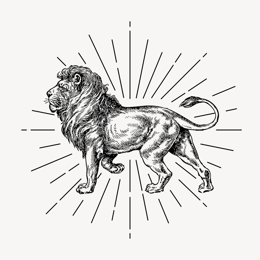 Walking lion drawing, vintage wildlife illustration psd