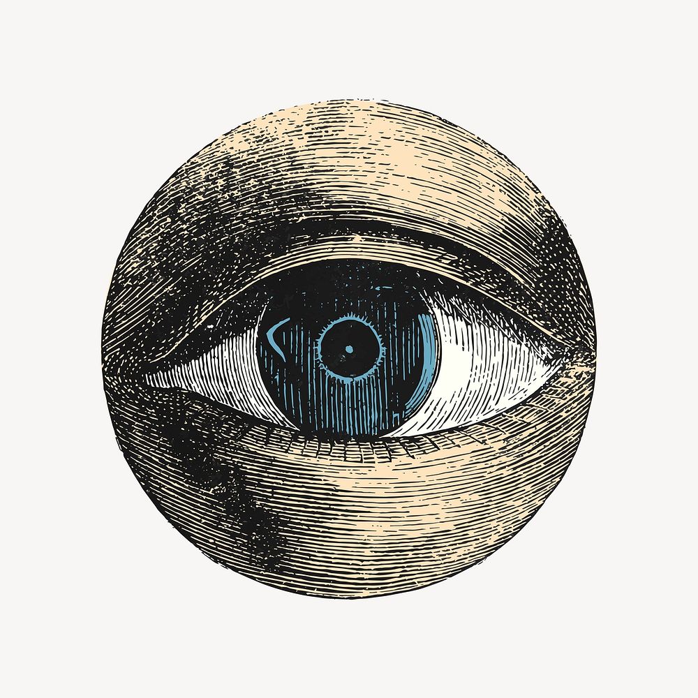 Human eye drawing, vintage body part illustration