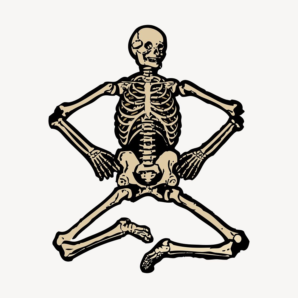Human skeleton collage element, vintage medical illustration vector