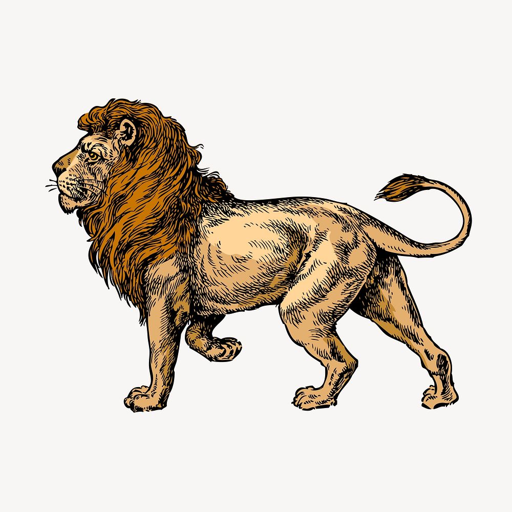 Lion collage element, vintage illustration vector