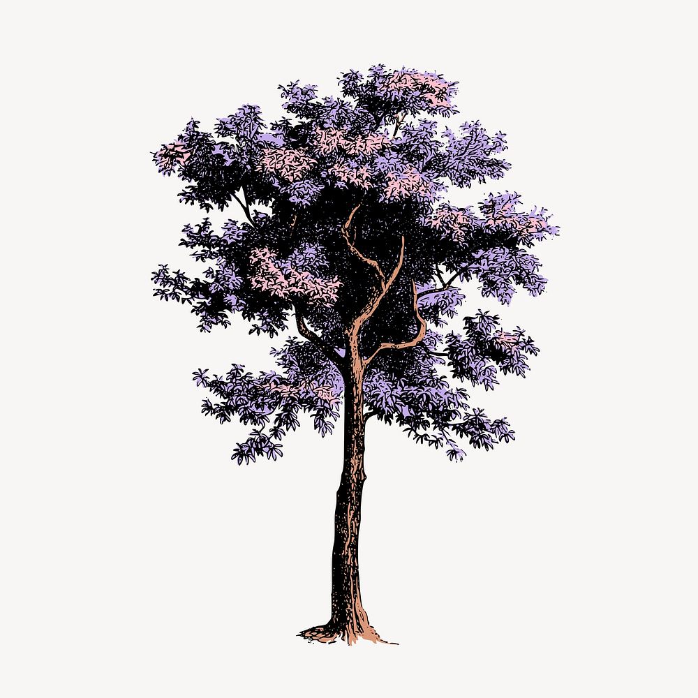 Aesthetic purple tree, botanical vintage illustration