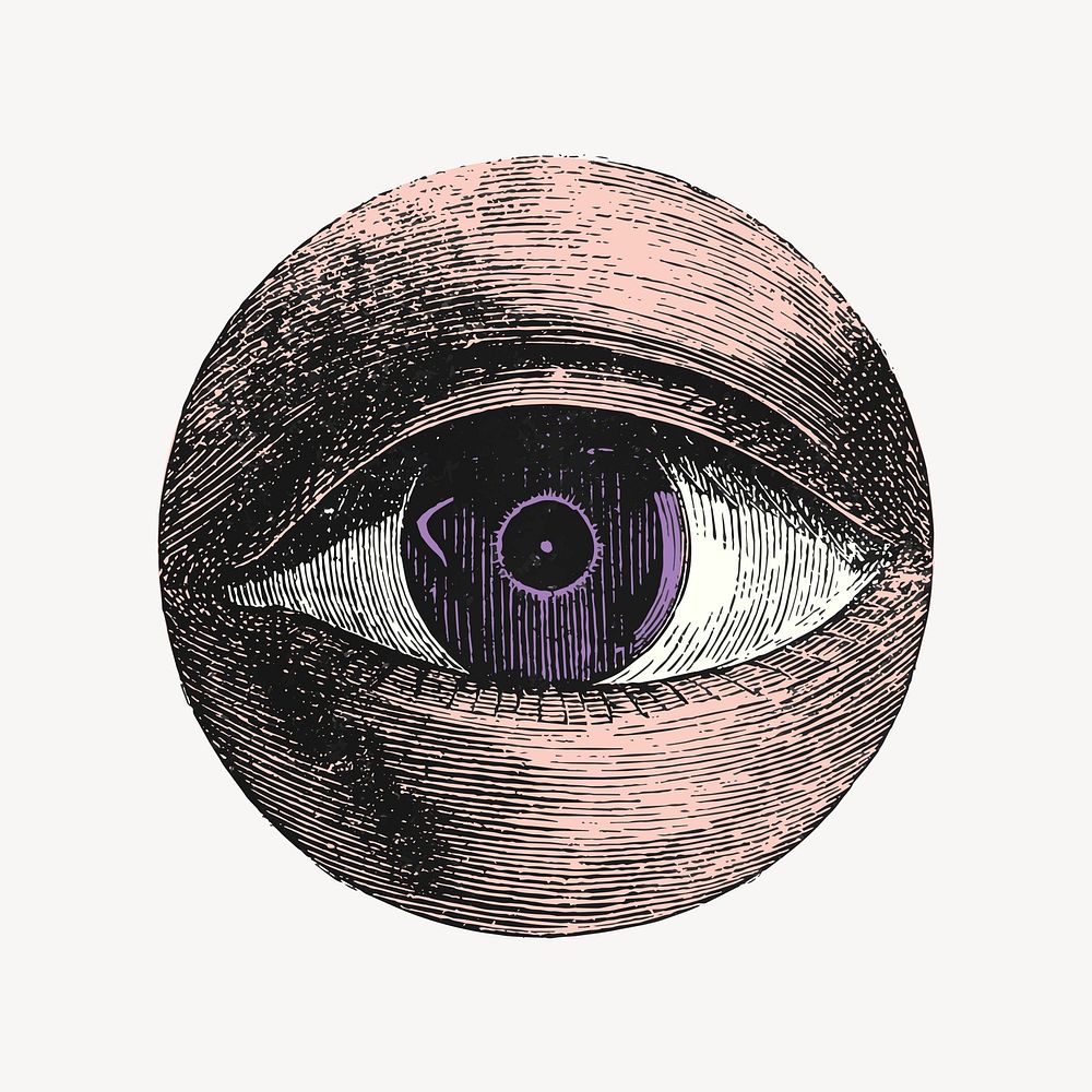 Observing eye clipart, vintage illustration vector