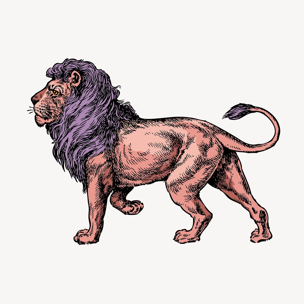 Purple lion clipart, animal vintage illustration vector
