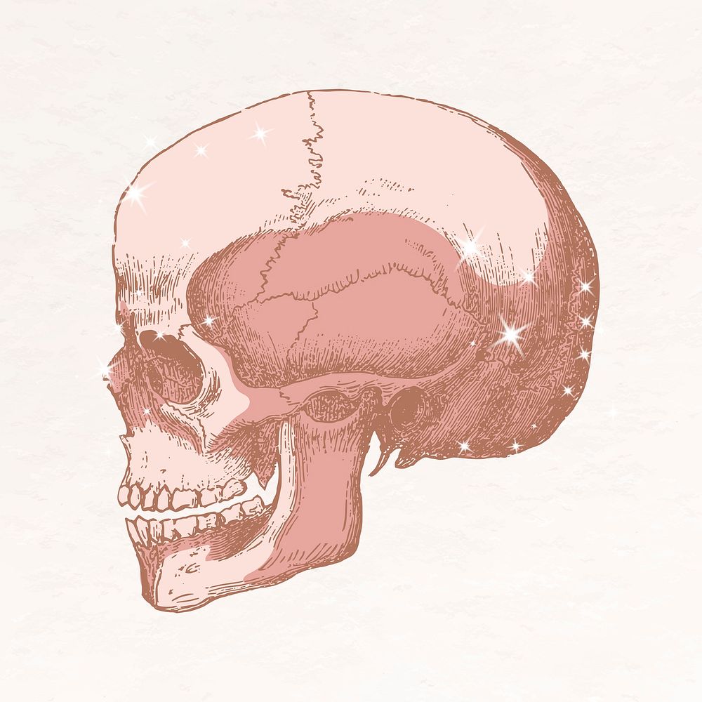 Human skull aesthetic clipart, glittery illustration psd