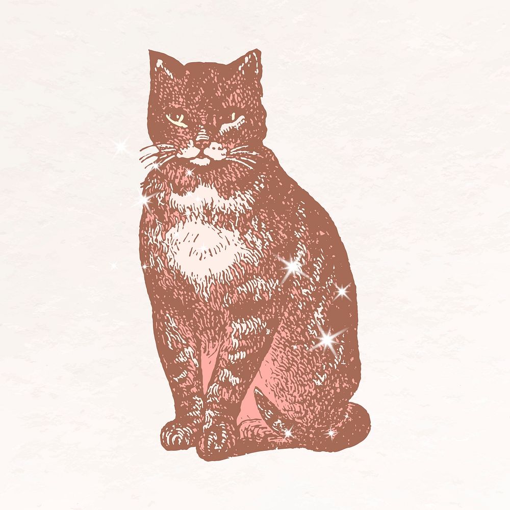 Sitting cat collage element, aesthetic sparkly illustration vector