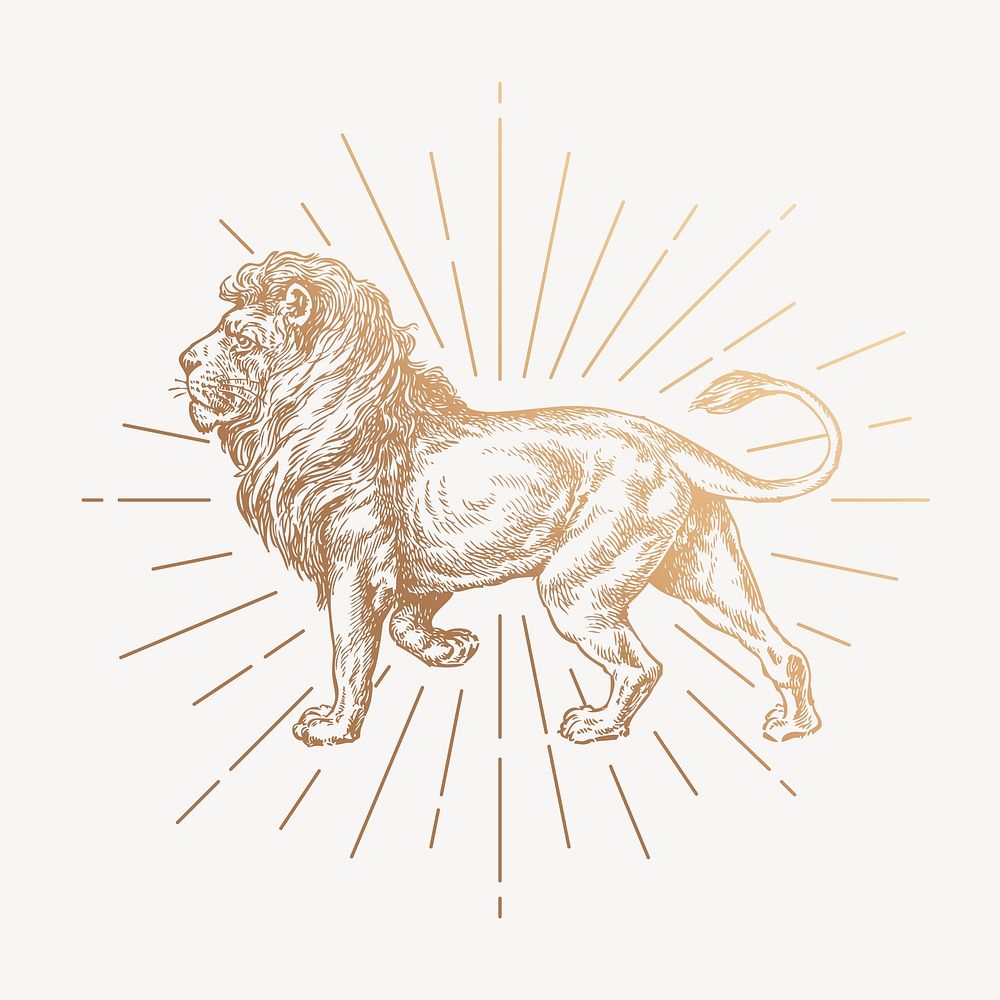 Gold lion clipart, vintage aesthetic drawing vector
