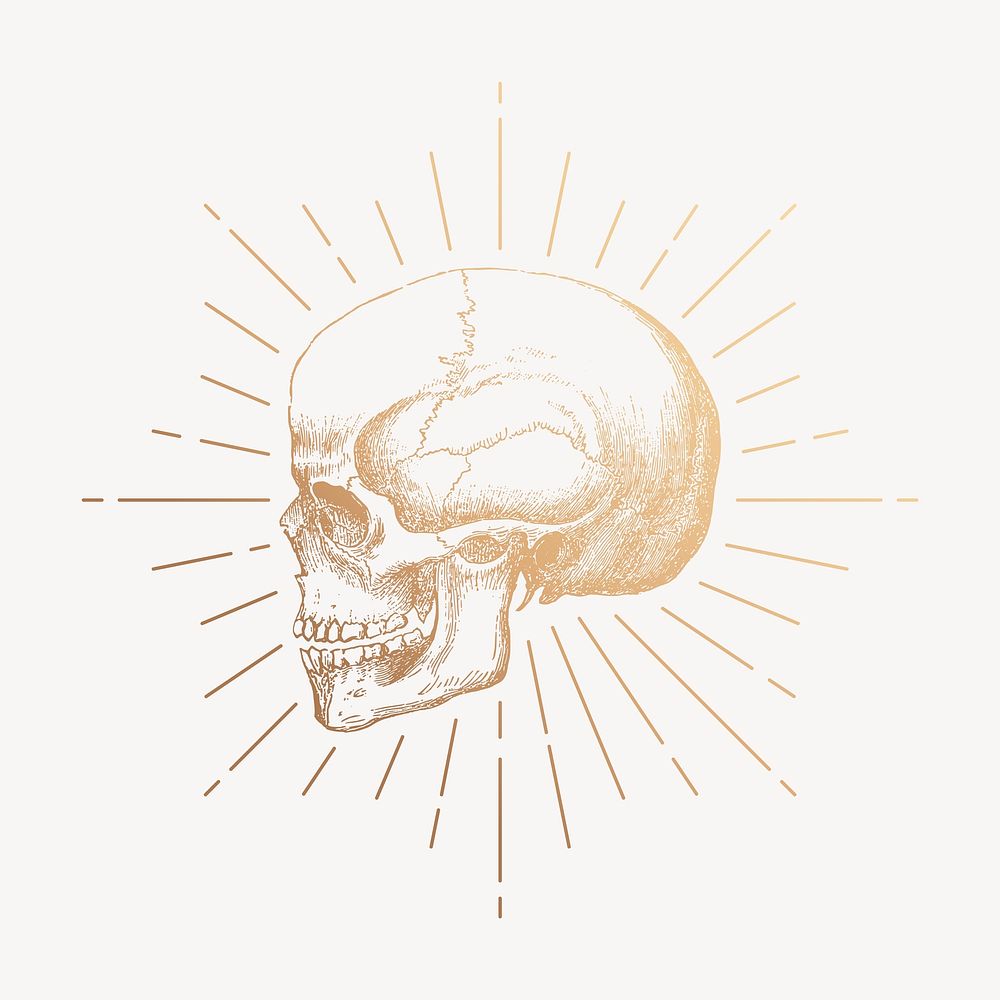 Human skull clipart, gold vintage illustration