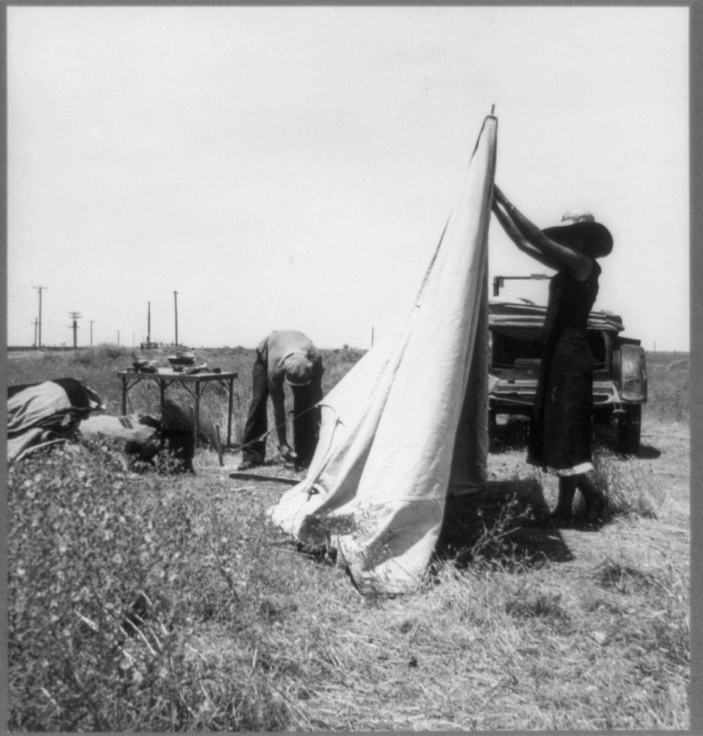 Migrant potato pickers pitching their tent. Often they are without water and sanitary conditions. Near Shafter, California.…