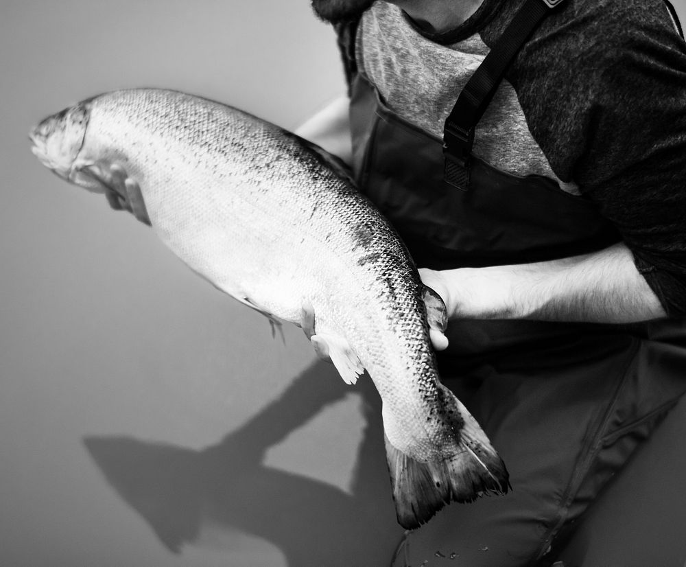 Man caught salmon fish