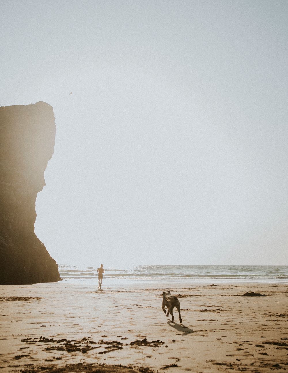 Man and his dog playing at the beach