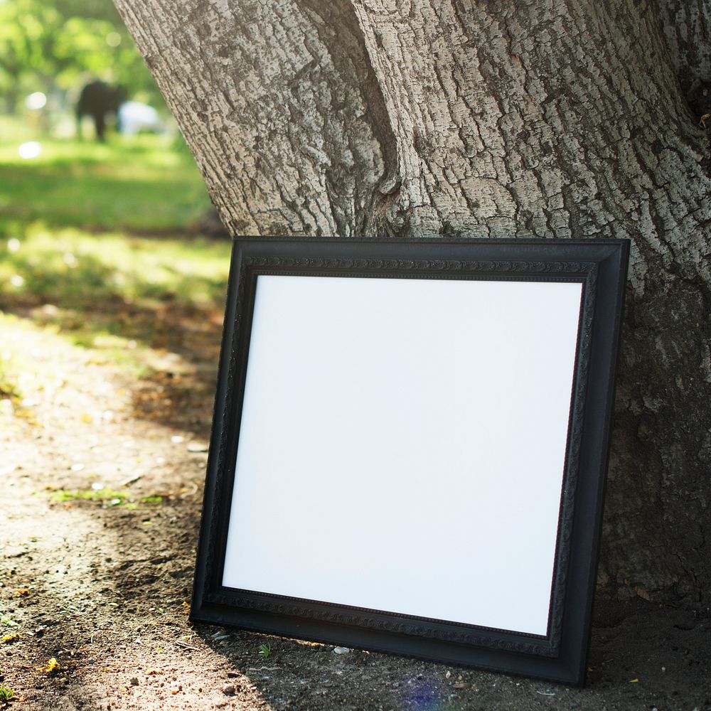 Picture frame on a tree