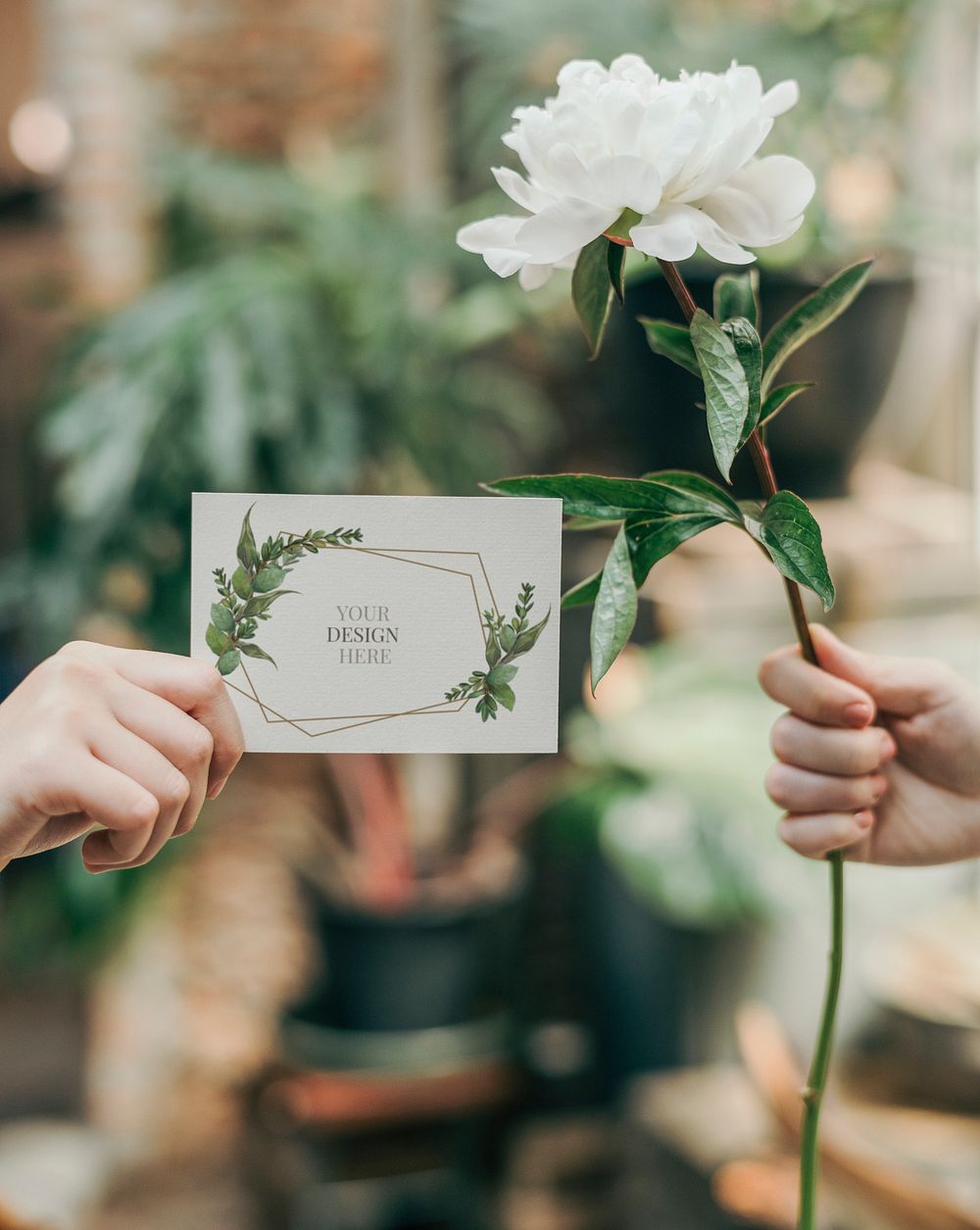 Girl with a white paeonia snowboard flower and a mockup card