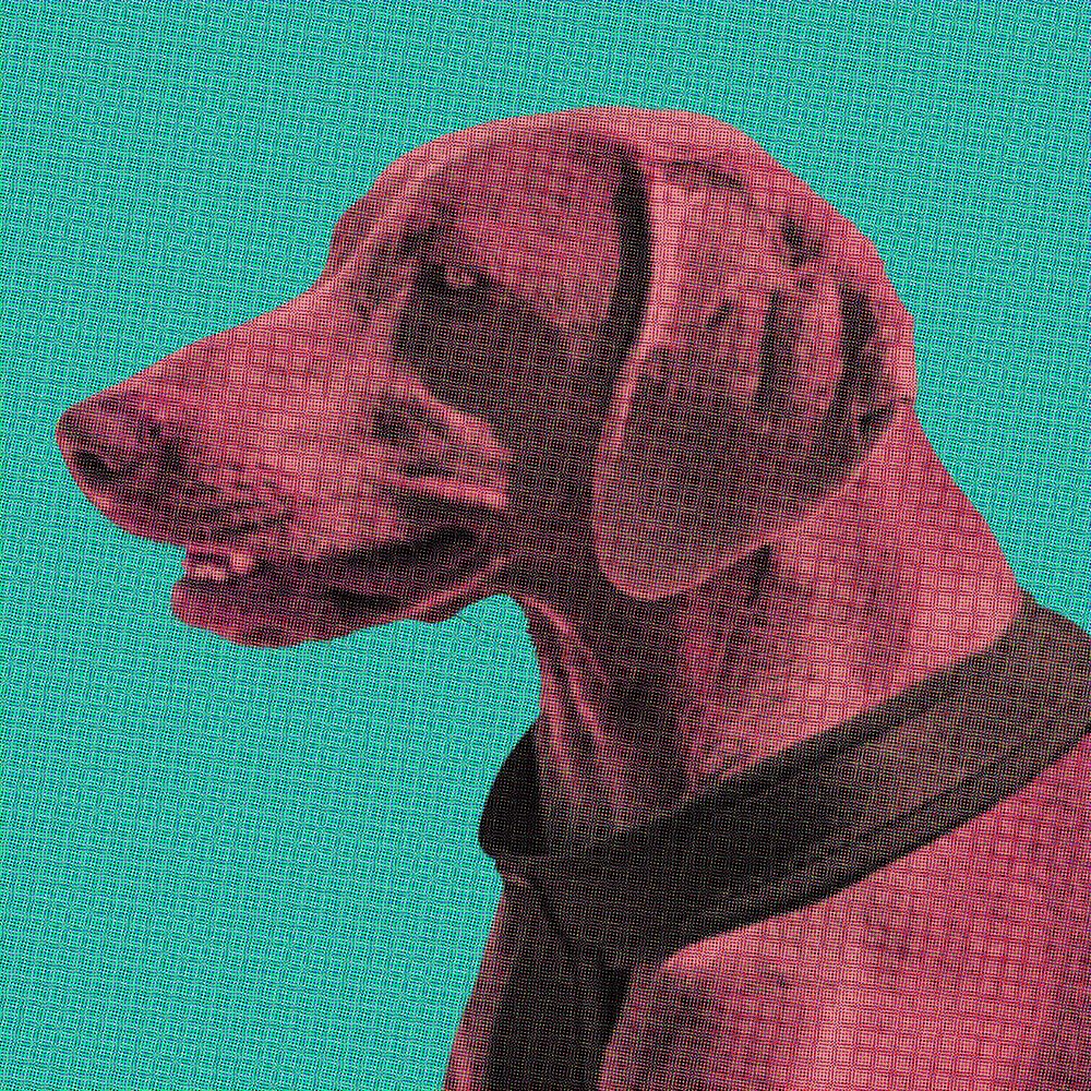 Cute Weimaraner dog portrait pop art style