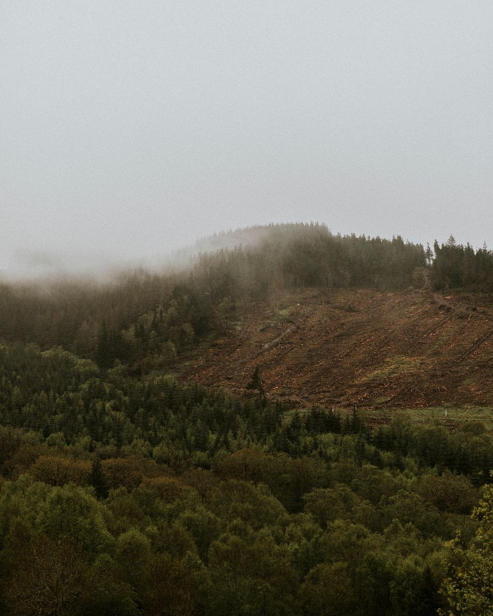 Foggy terrain landscape in a countryside