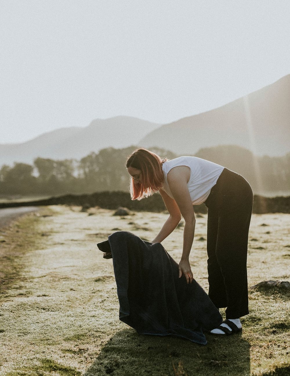 Woman cleaning dog at a farm