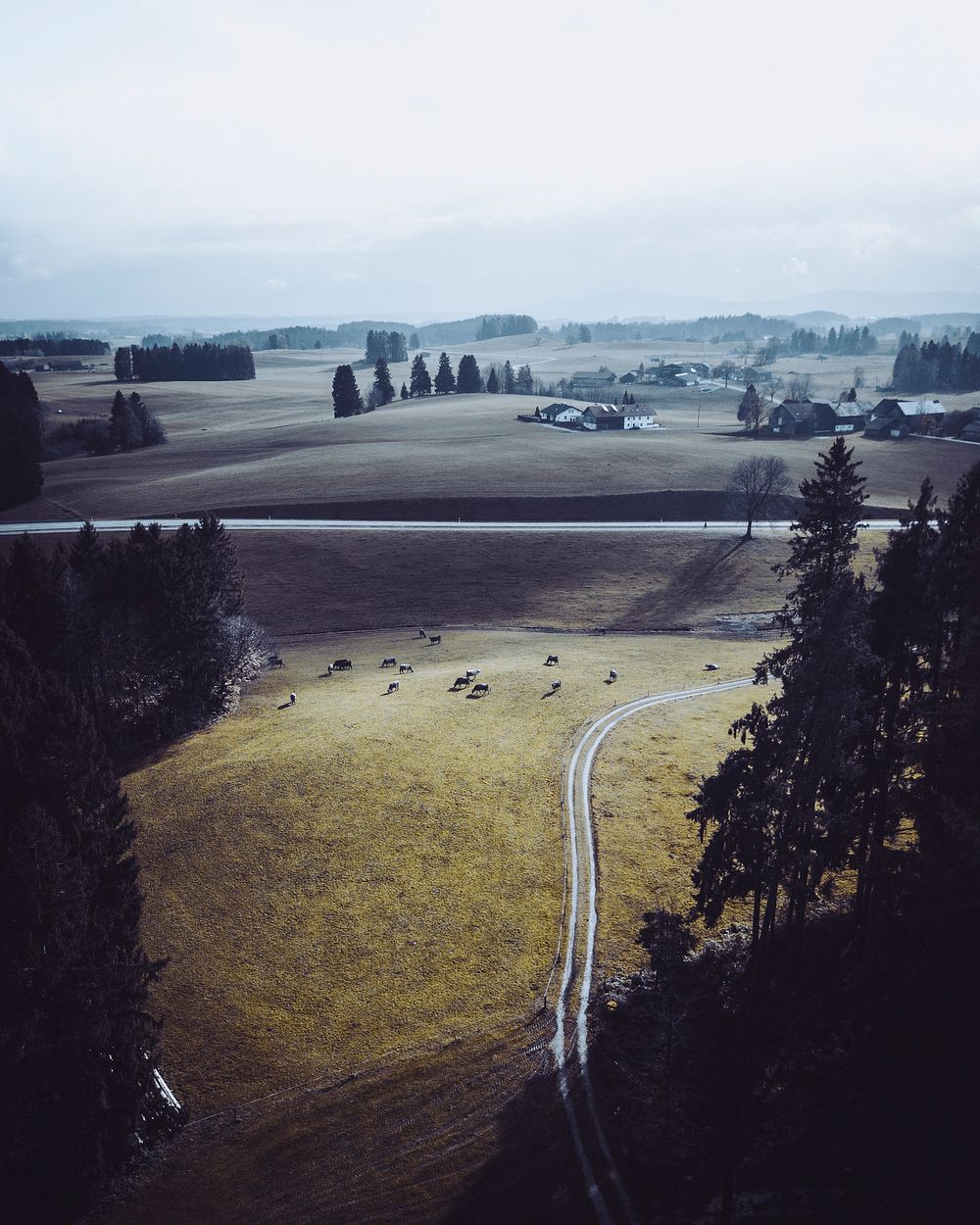 View of fields in Wald, Germany