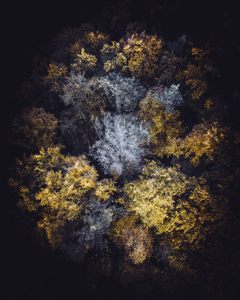Aerial view of the forest of Vaihingen an der Enz, Germany