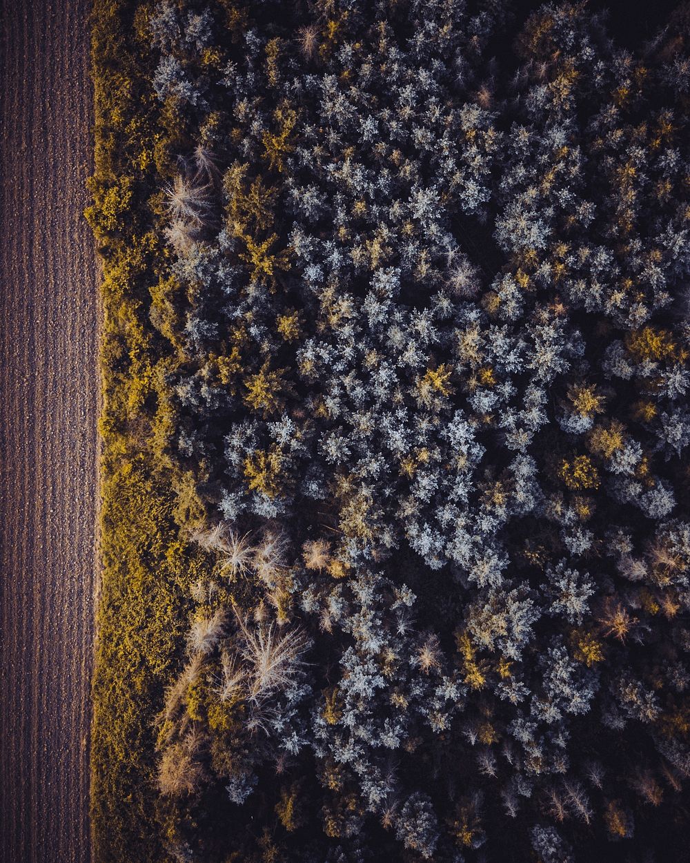 Aerial view of the forest in Vaihingen an der Enz, Germany