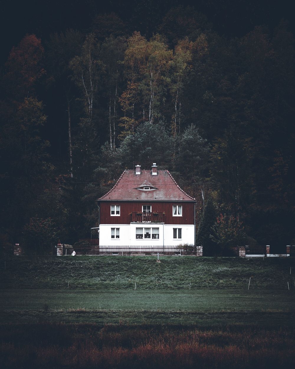 Countryside house in the forest
