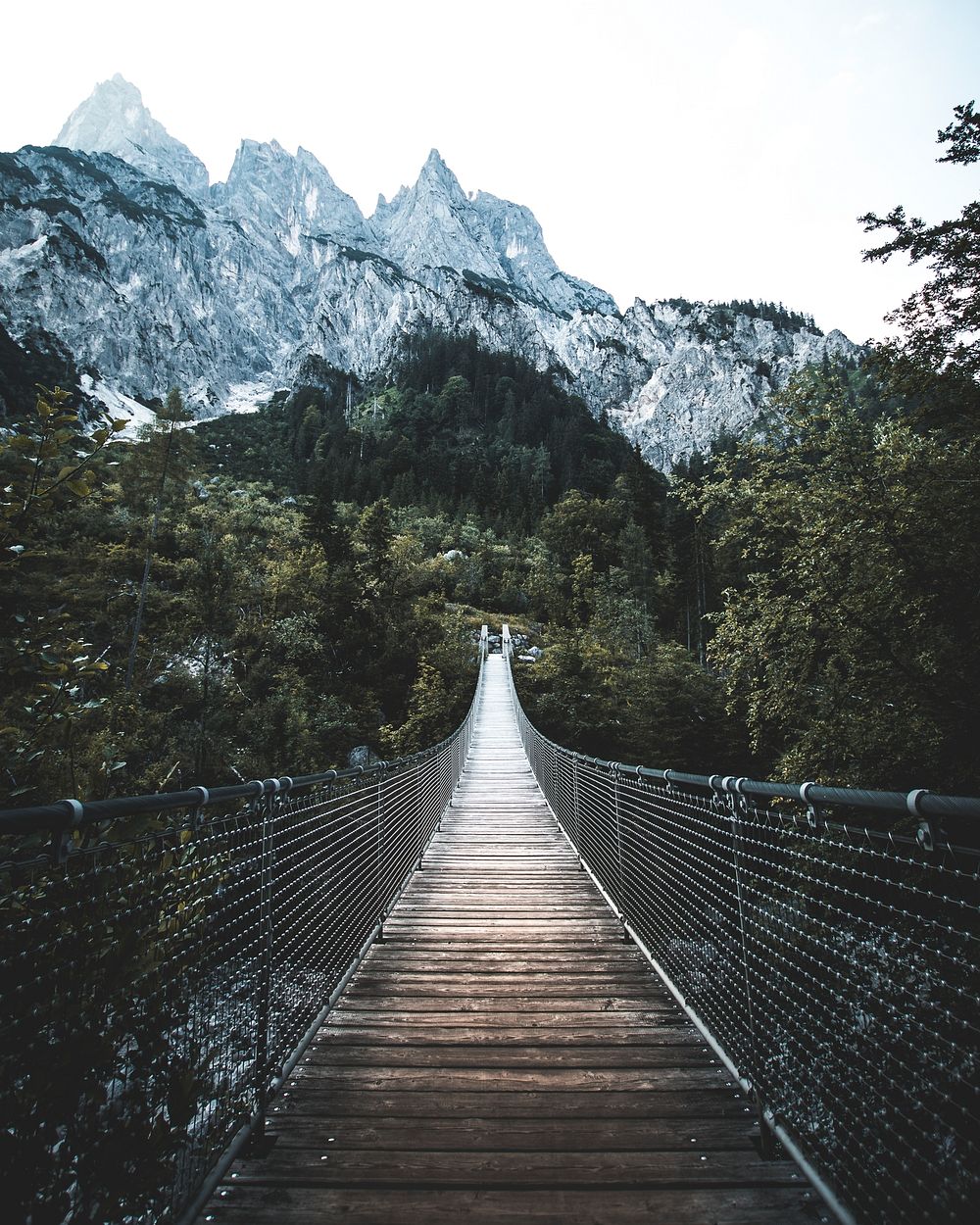 Suspension bridge with a view of Reiter Alpe mountain in Bavaria, Germany