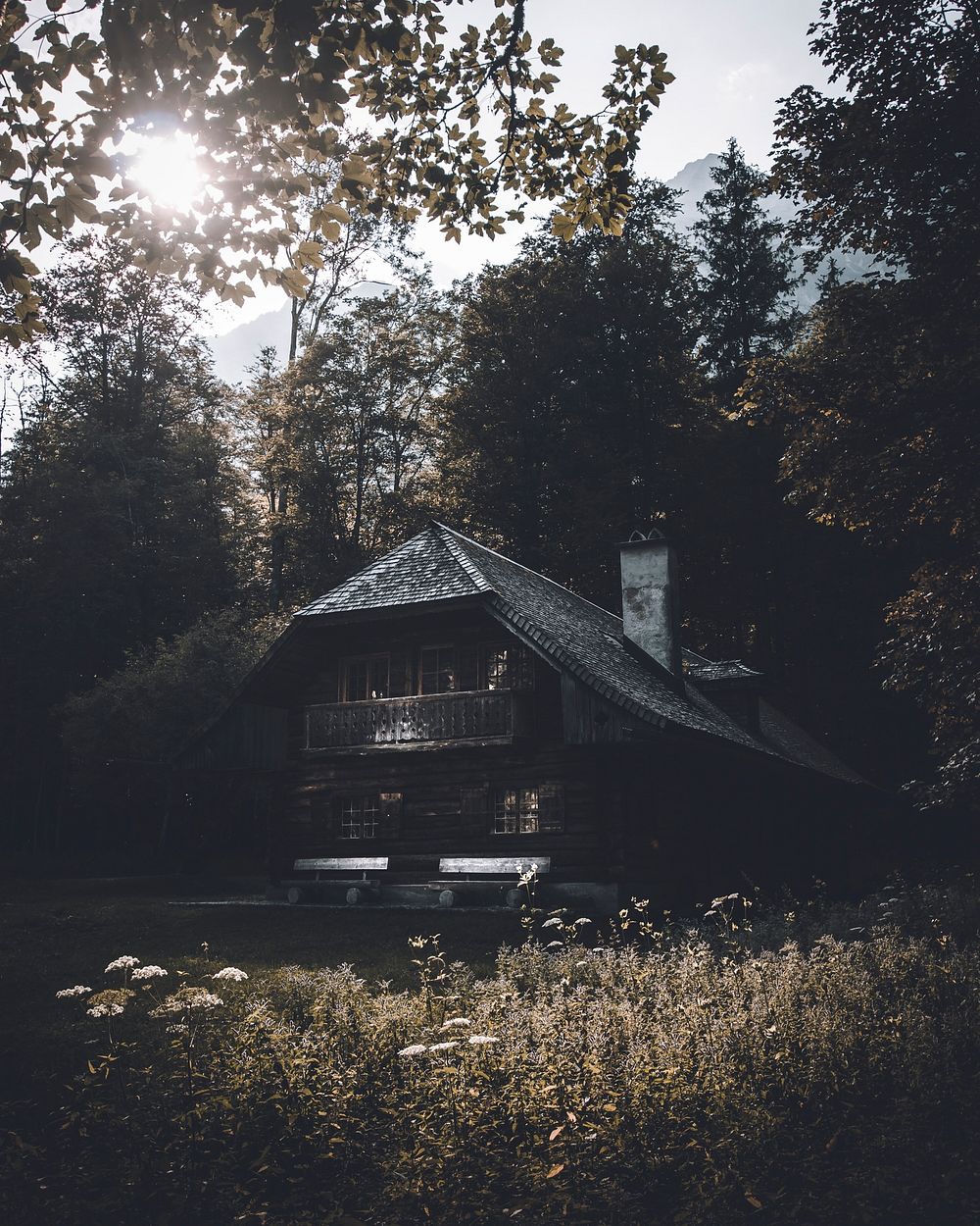 Beautiful countryside home among the trees