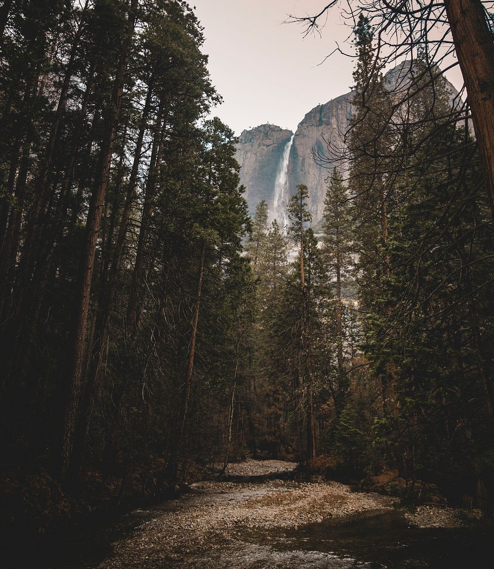 View of Yosemite National Park in California, USA