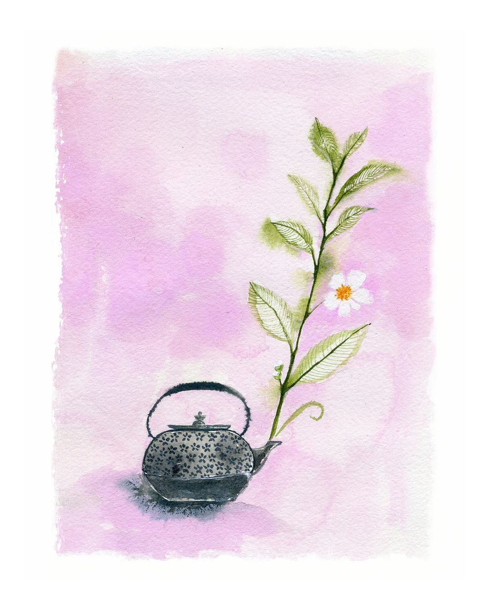 Flower in a kettle wall art print and poster.